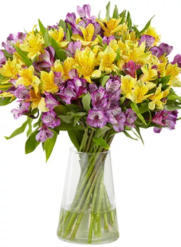 Альстромерия от интернет-магазина цветов в 