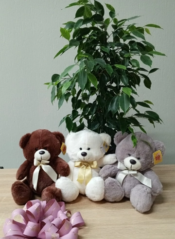 Мягкая игрушка «Мишкина улыбка» от интернет-магазина цветов в 