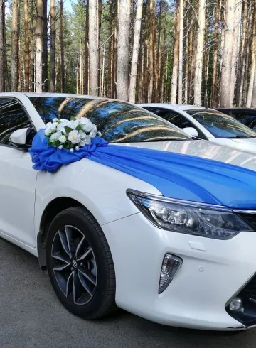 Оформление автомобиля  &laquo;Смелые мечты&raquo; от интернет-магазина цветов в 